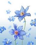pic for BLUE FLOWER
